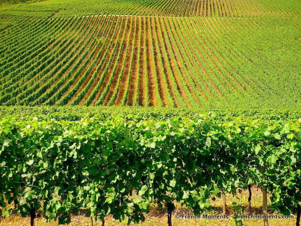 Apartment with Spa 1,856029581:JPEG